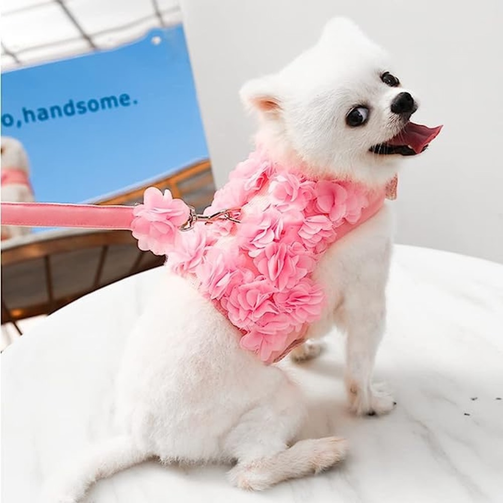 Dog clothes #fashions